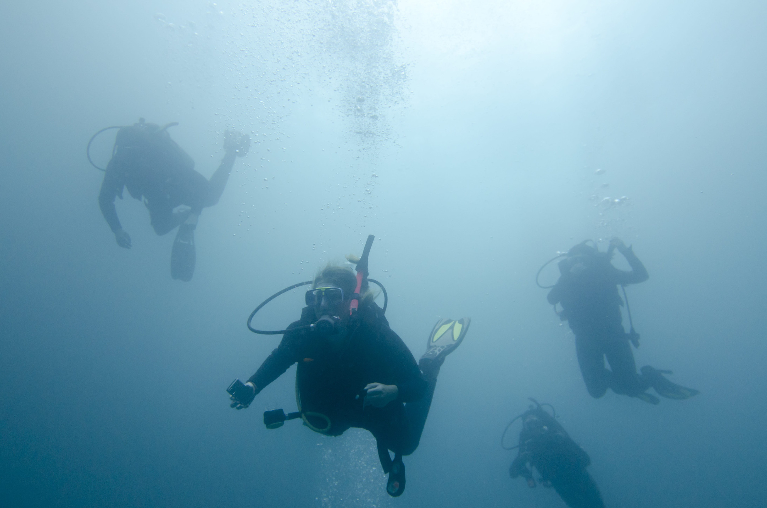 Group of scuba divers descending through blue water at a Komodo National Park dive site